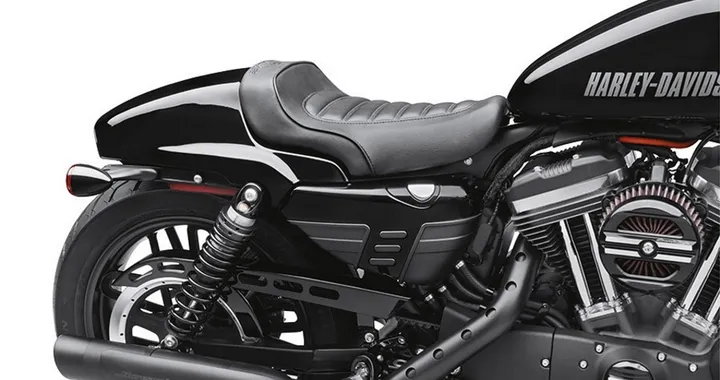 Accessori Cafe Custom per Harley-Davidson Roadster