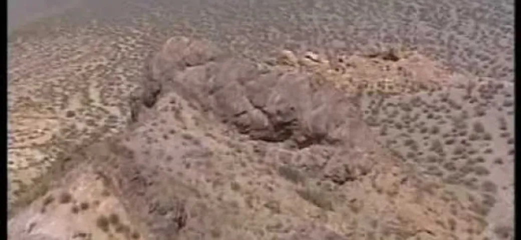 Dakar 2010: il video della tappa 11, vinta da Verhoeven
