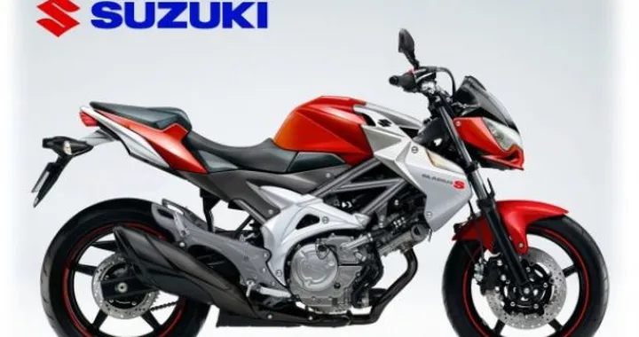 Suzuki Gladius S e R by Oberdan Bezzi