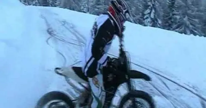 Quantya: divertimento ecologico!