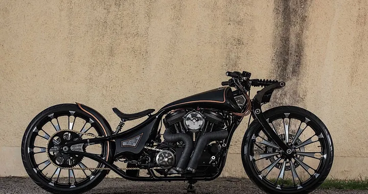 Rajputana Customs: Jordaar Version 2