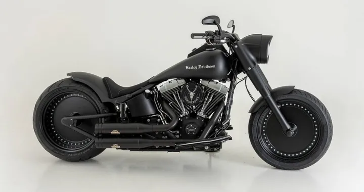 Harley-Davidson Fat Boy "Batmobil" by Bundnerbike