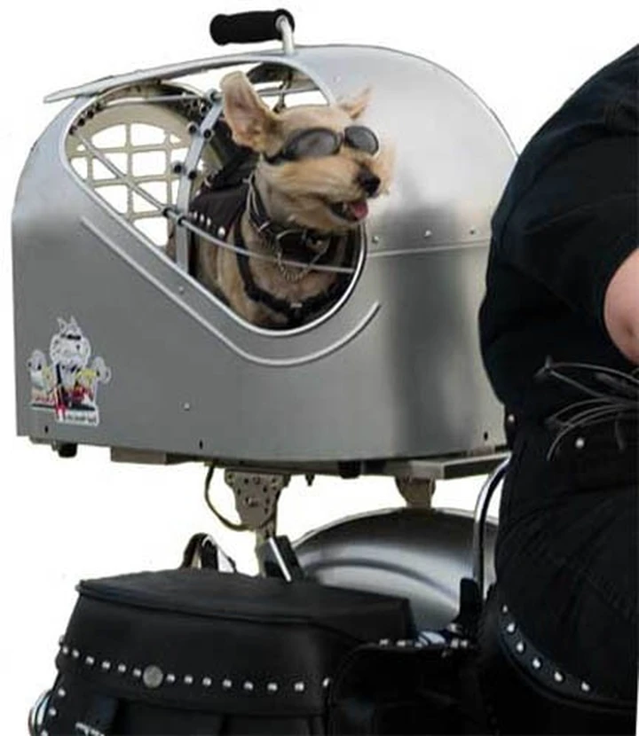 Pet Carrier per i nostri amicia 4 zampe
