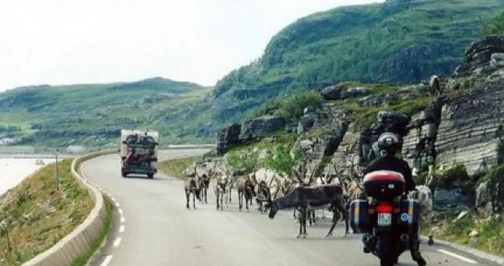 Foto del giorno: Nordkapp all'ora di punta