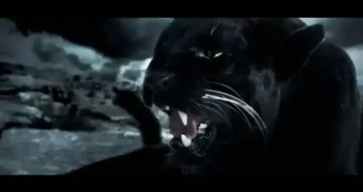 Kawasaki  Call of the wild