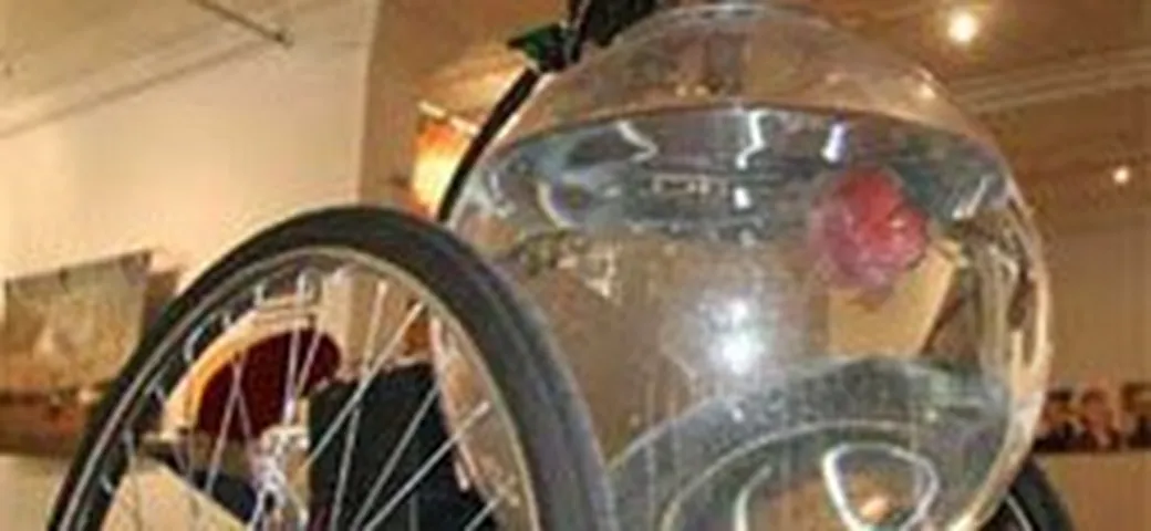 La prima auto guidata da... un pesce