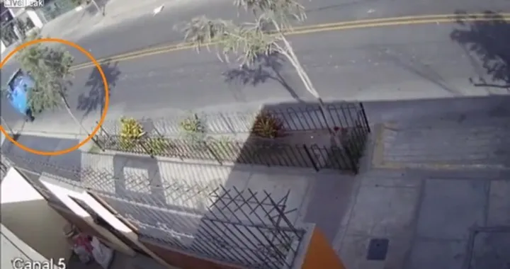 Impenna con l'Ape e finisce contro un albero [Video]