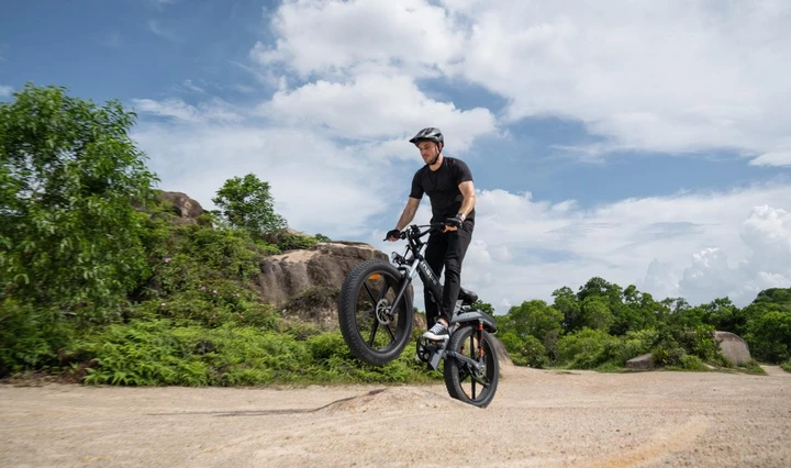 ingrandisci immagine