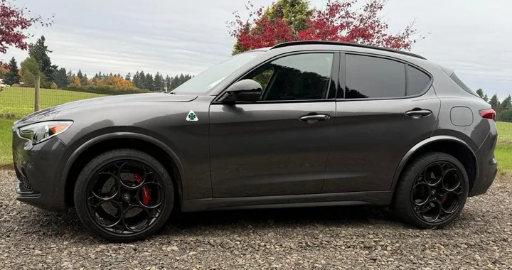 "Quest'auto va troppo forte", proprietario si disfa della Stelvio Quadrifoglio