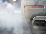 Per ridurre le emissioni di CO2 servono le alghe: l'innovazione di una startup