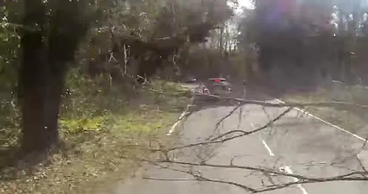 Albero cade davanti alla sua moto: incidente inevitabile [Video]