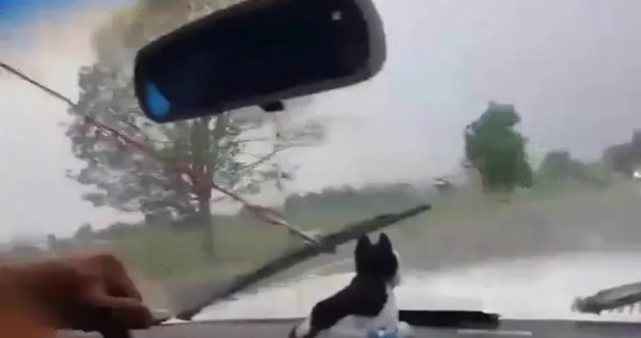 Tergicristalli a mano...