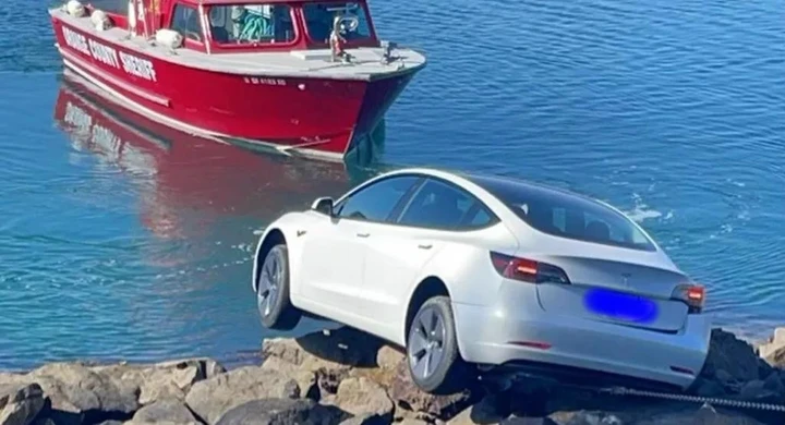 Guida una Tesla, ma sbaglia pedale e finisce sulla scogliera