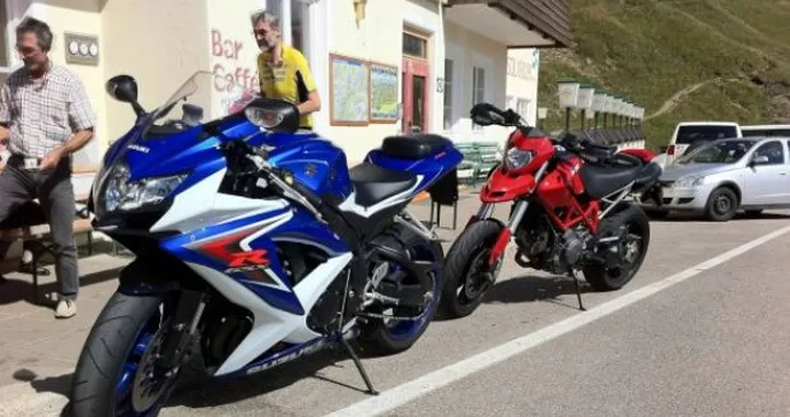 Foto del giorno: Passo Sella in dolce compagnia