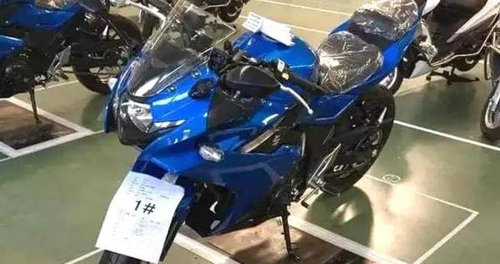 Suzuki GSX-R250 2016: le prime immagini