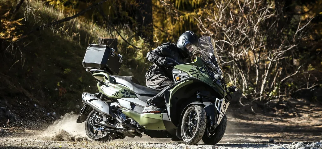 Quadro: Quadro3 Edelweiss 2018