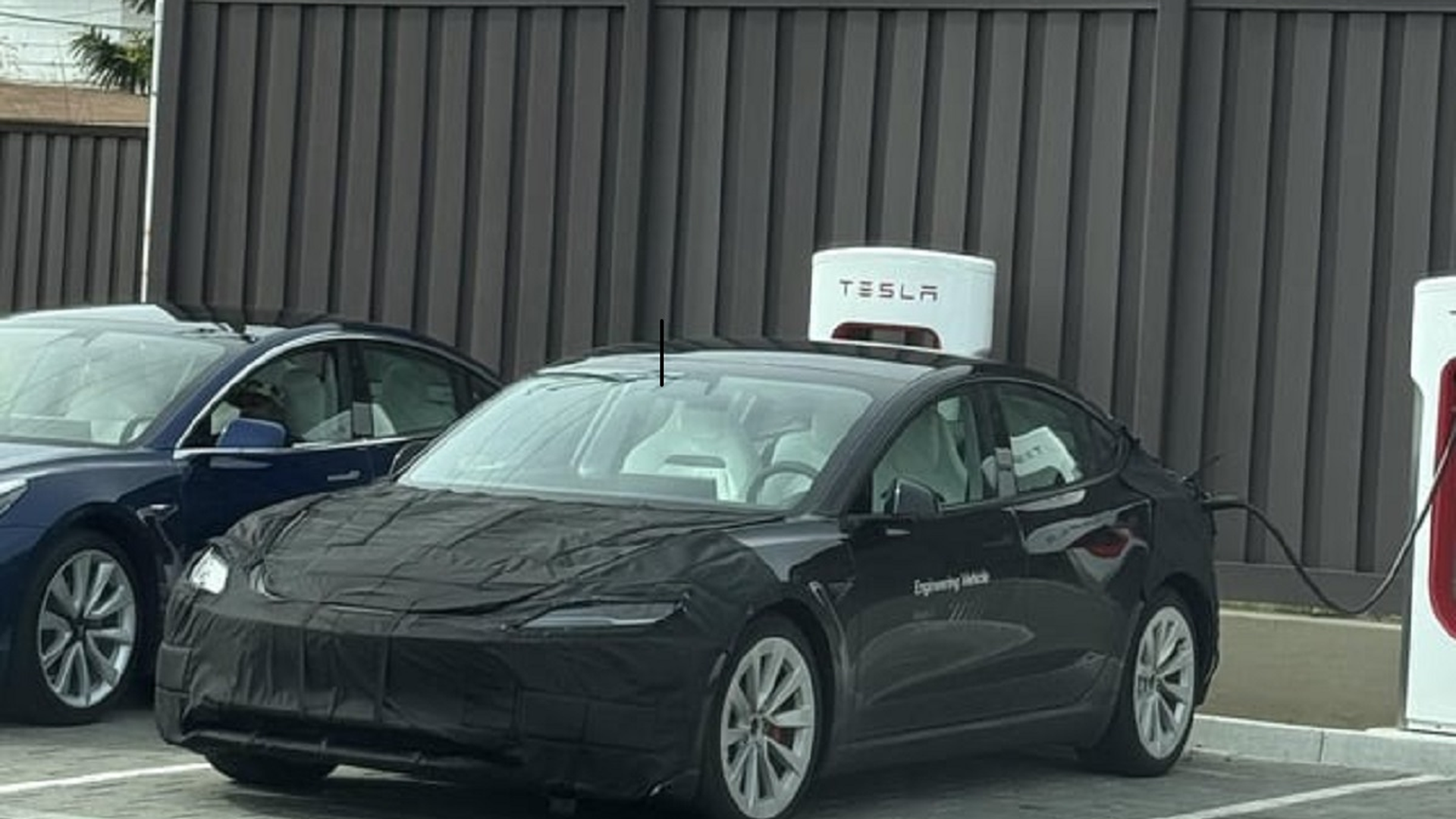 Tesla Model 3 Performance restyling: avvistato il prototipo [FOTO SPIA ...