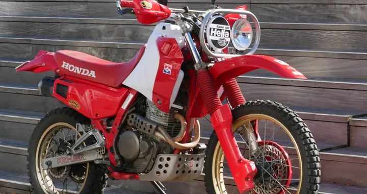 Dominator Baja Edition: la Honda NX650 del 1988 rinasce in stile rally