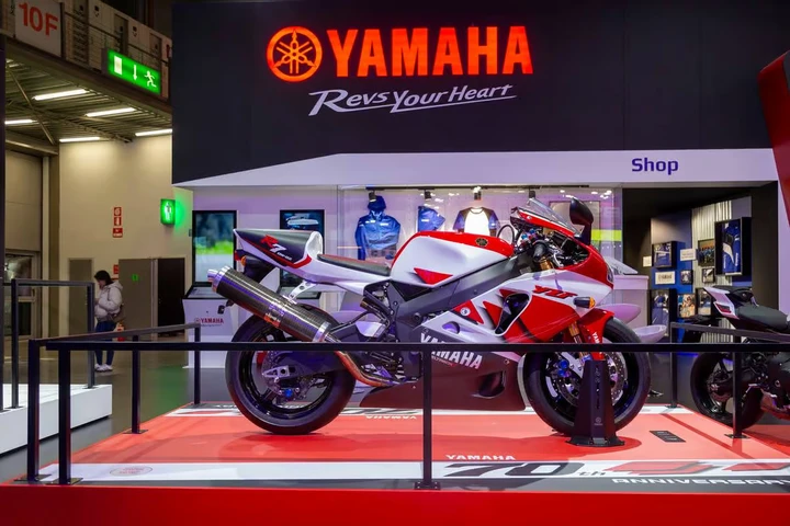 ingrandisci immagine