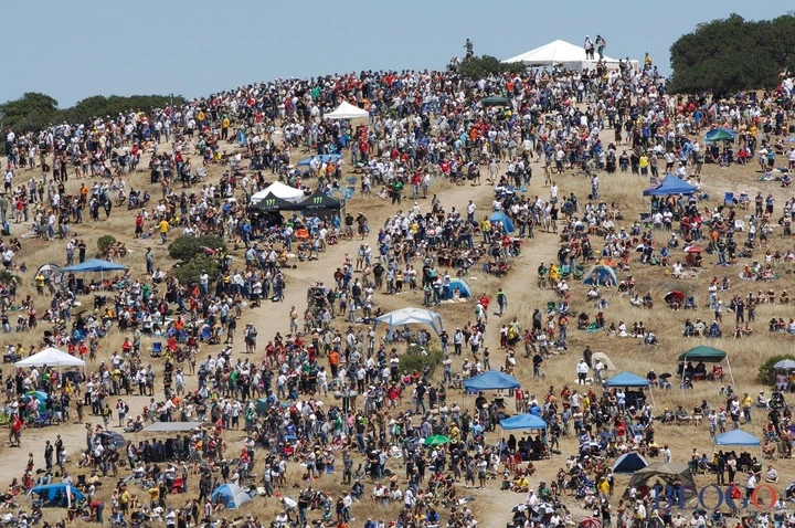 ingrandisci immagine