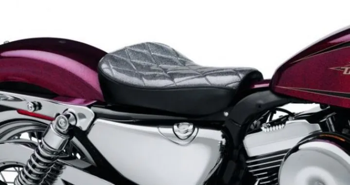 Accessori Harley Davidson per Sportster Seventy-Two e Softail Slim