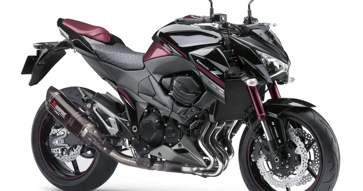 Kawasaki Z800 Sugomi Special Edition 2016 a € 9.590