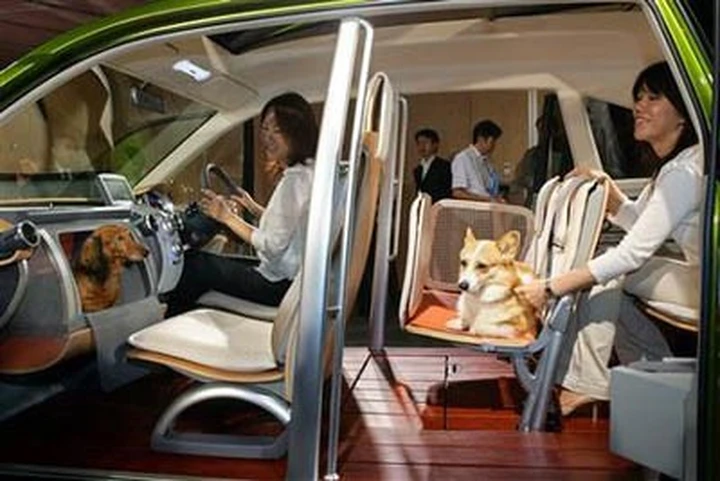 Honda presenta la macchina pensata per i cani