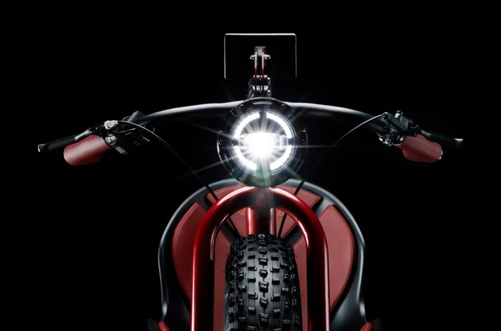 ingrandisci immagine