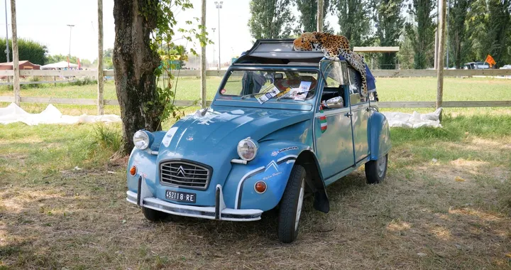 Citroën 2CV celebra i 70 di anni di storia con una Special