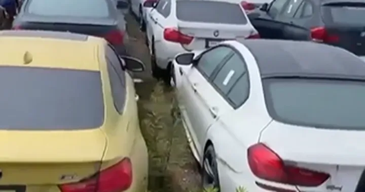 BMW e Mini: cosa è successo a 3000 esemplari abbandonati?