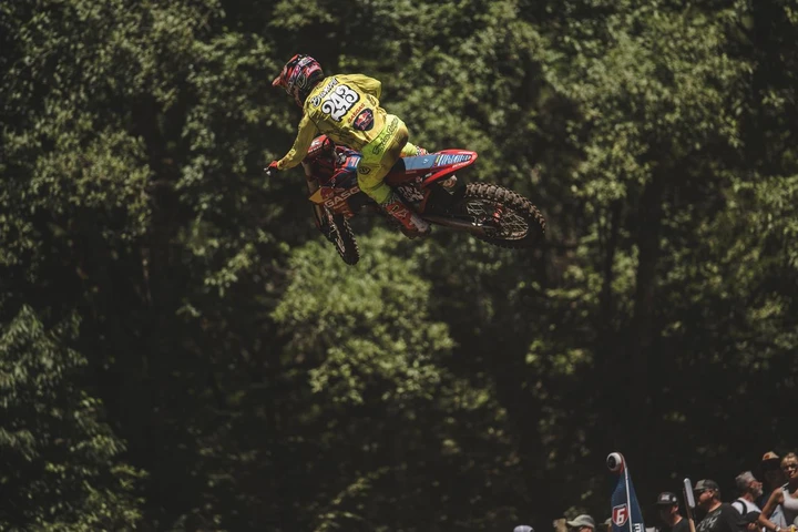 ingrandisci immagine