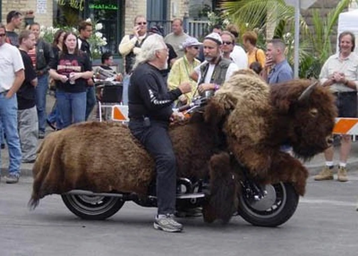 Buffalo Bike!