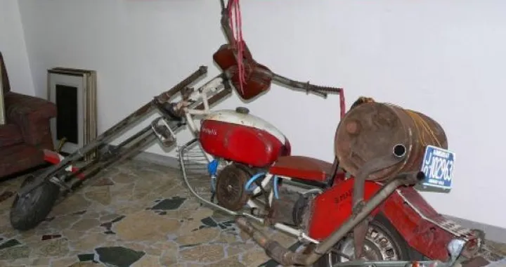 Foto del giorno: "la cosa"...