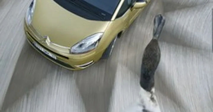 C4 Picasso, altri dati e immagini