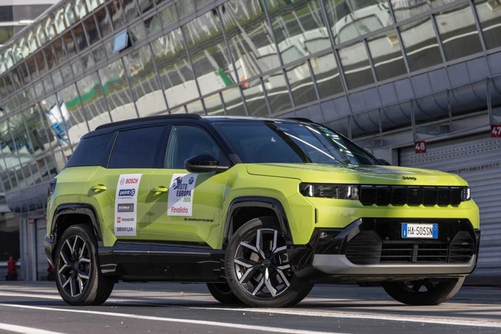 ingrandisci immagine