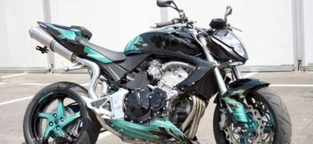Hornet 600 Matrix