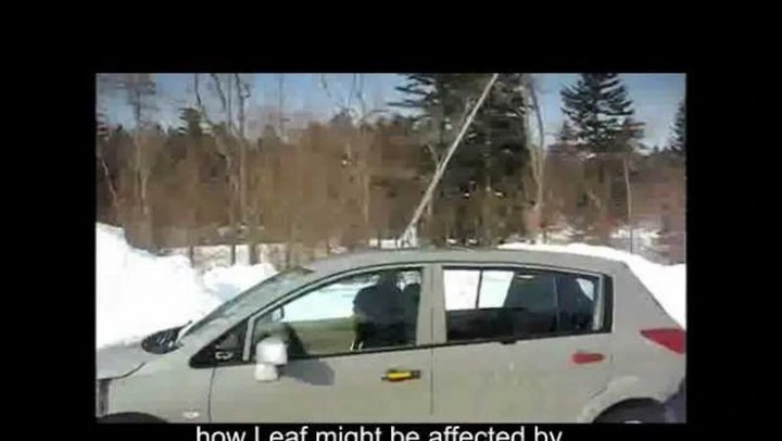 Video: test di sicurezza della Nissan Leaf