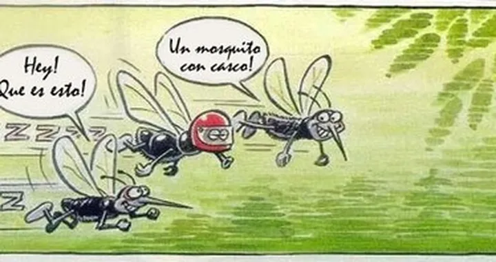 Foto del giorno: Anche le mosche nel loro piccolo...