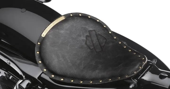 Accessori Harley-Davidson 2015