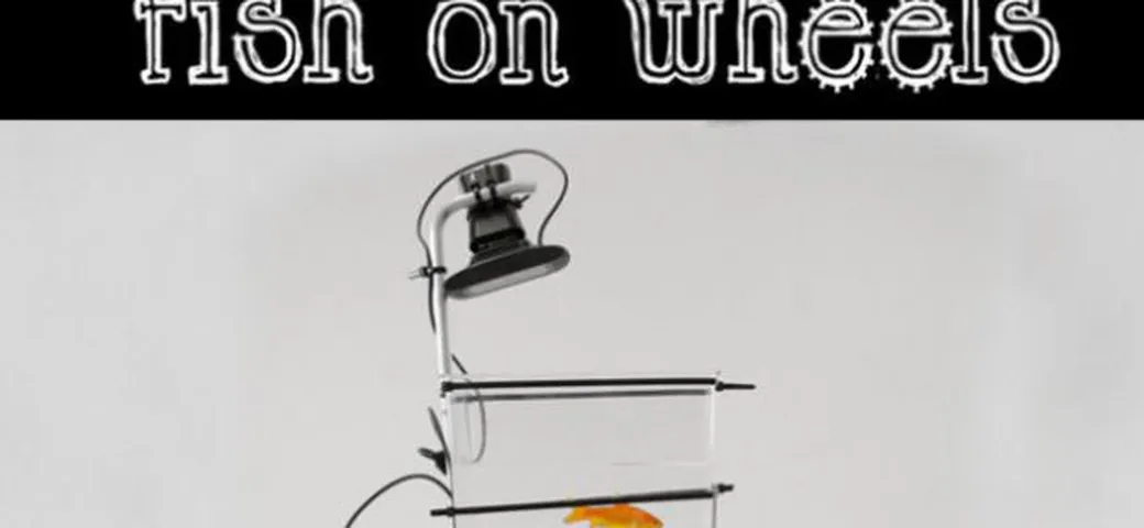 Fish on wheels: su Kickstarter l'automobilina per i pesci