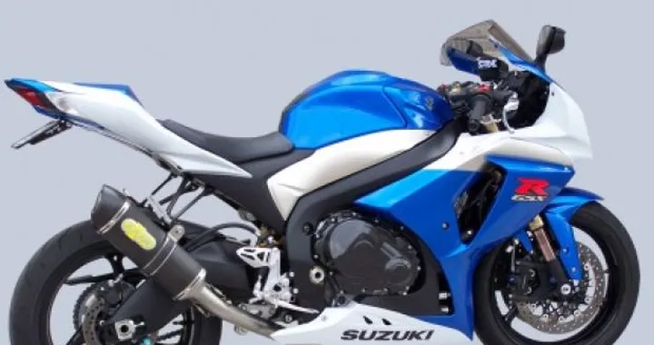 Scarico Exan ovale Carbon Cap per Suzuki GSX-R 1000 K9