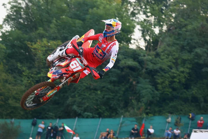 ingrandisci immagine