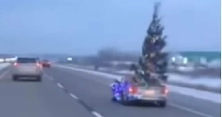Mazda MX-5 con un albero di Natale nel cofano [Video]